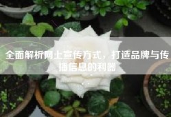 全面解析网上宣传方式，打造品牌与传播信息的利器