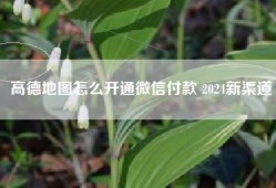 高德地图怎么开通微信付款 2024新渠道