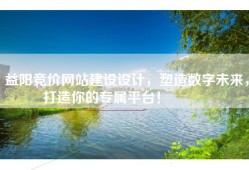益阳竞价网站建设设计，塑造数字未来，打造你的专属平台！🌟