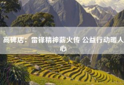 高碑店：雷锋精神薪火传 公益行动暖人心