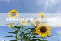 今日头条推广策略与推广方案制作