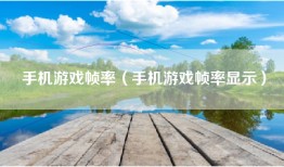 手机游戏帧率（手机游戏帧率显示）