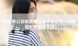 临汾市公安局直属分局辛寺街派出所多措护航辖区平安