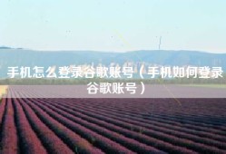 手机怎么登录谷歌账号（手机如何登录谷歌账号）