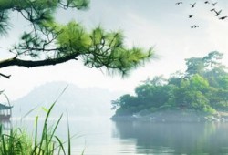 科普动态 ｜｜ 2024年四川省大学生环保科普创意大赛决赛成功举办