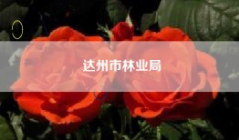 达州市林业局