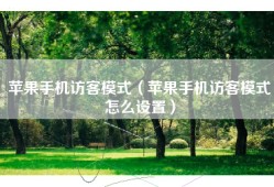 苹果手机访客模式（苹果手机访客模式怎么设置）