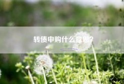 转债申购什么意思？