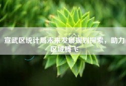 宣武区统计局未来发展规划探索，助力区域腾飞