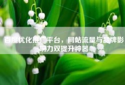 百度优化推广平台，网站流量与品牌影响力双提升神器