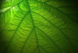 夺冠观后感200字 《夺冠》观后感精选15篇