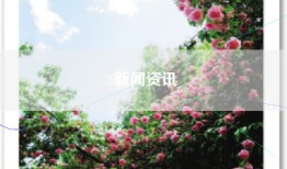 新闻资讯