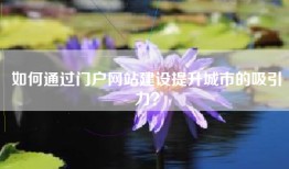 如何通过门户网站建设提升城市的吸引力？