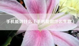 手机能做什么（手机能做什么生意）