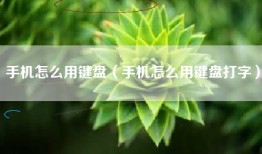 手机怎么用键盘（手机怎么用键盘打字）