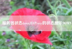 服务器状态down,HAProxy的状态显示DOWN