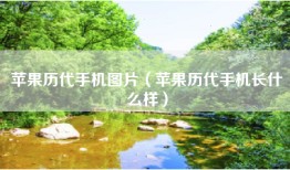 苹果历代手机图片（苹果历代手机长什么样）