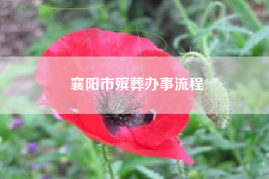 襄阳市殡葬办事流程