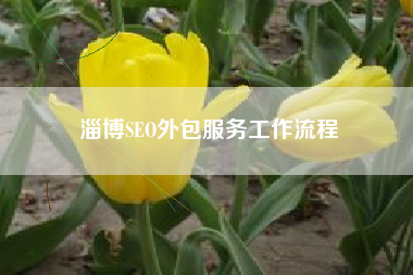 淄博SEO外包服务工作流程