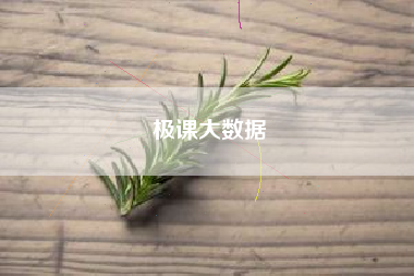 极课大数据