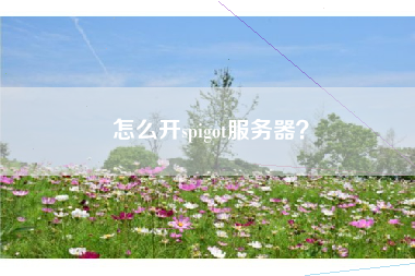 怎么开spigot服务器？