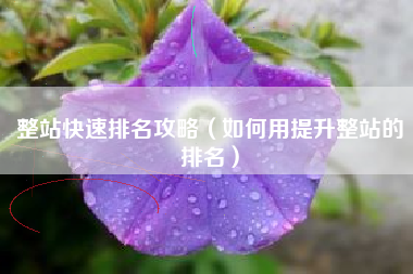 整站快速排名攻略（如何用提升整站的排名）
