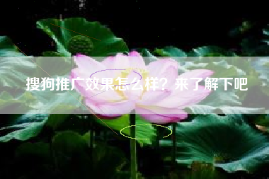 搜狗推广效果怎么样？来了解下吧