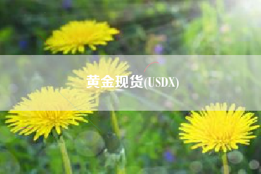 黄金现货(USDX) 黄金现货(USDX)