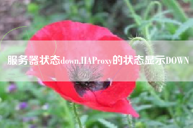 服务器状态down,HAProxy的状态显示DOWN