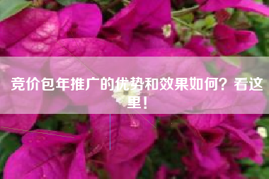 竞价包年推广的优势和效果如何？看这里！
