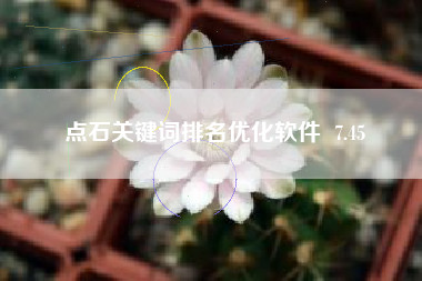点石关键词排名优化软件  7.45