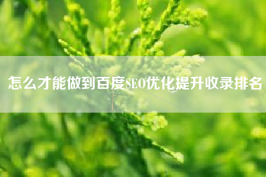 怎么才能做到百度SEO优化提升收录排名