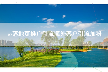ws落地页推广引流海外客户引流加粉
