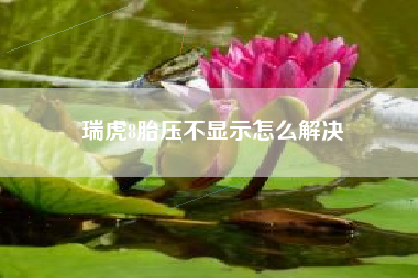 瑞虎8胎压不显示怎么解决
