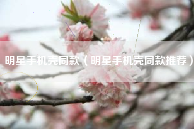 明星手机壳同款（明星手机壳同款推荐）