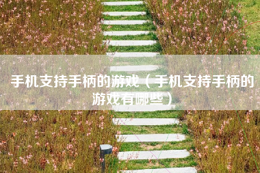 手机支持手柄的游戏（手机支持手柄的游戏有哪些）