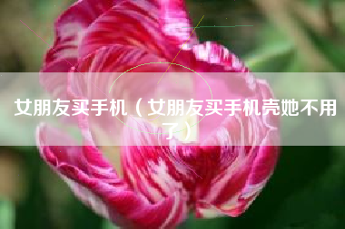 女朋友买手机（女朋友买手机壳她不用了）