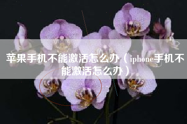 苹果手机不能激活怎么办（iphone手机不能激活怎么办）