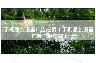 手机怎么设置广告拦截（手机怎么设置广告信息拦截）