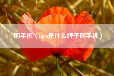 的手机（iqoo是什么牌子的手机）