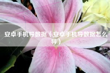 安卓手机导数据（安卓手机导数据怎么导）