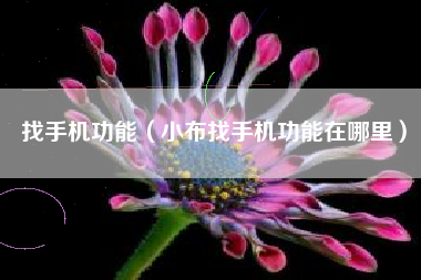 找手机功能（小布找手机功能在哪里）
