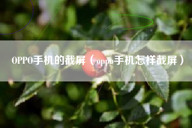 OPPO手机的截屏（oppo手机怎样截屏）