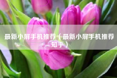 最新小屏手机推荐（最新小屏手机推荐知乎）