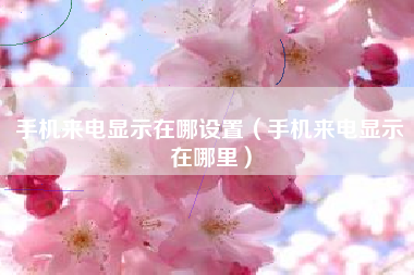 手机来电显示在哪设置（手机来电显示在哪里）