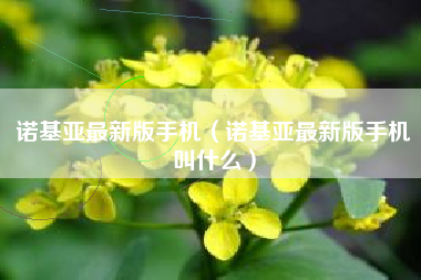 诺基亚最新版手机（诺基亚最新版手机叫什么）