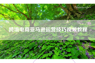 跨境电商亚马逊运营技巧视频教程 跨境电商亚马逊运营技巧视频教程
