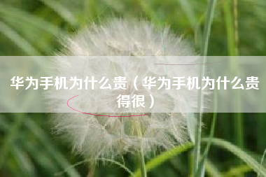 华为手机为什么贵（华为手机为什么贵得很）