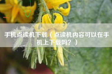 手机点读机下载（点读机内容可以在手机上下载吗？）