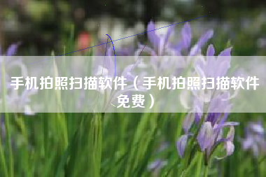 手机拍照扫描软件（手机拍照扫描软件免费）